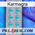 Karmagra 28